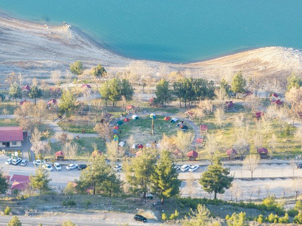 The Pinnacle UK Camping Guide: Master Bird Photography Amidst Nature's Majesty