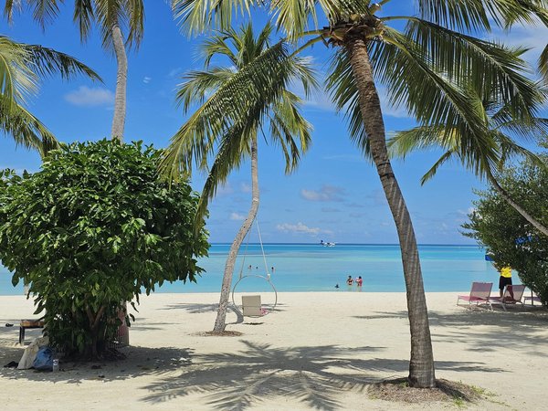 Uncover Your Perfect Cornwall Getaway: Reserve a Holiday Rental with Exclusive Historic Mining Tours!