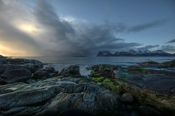 Unearthing the Cotswolds' Treasures: The Definitive Guide to Top Local Farmers' Markets